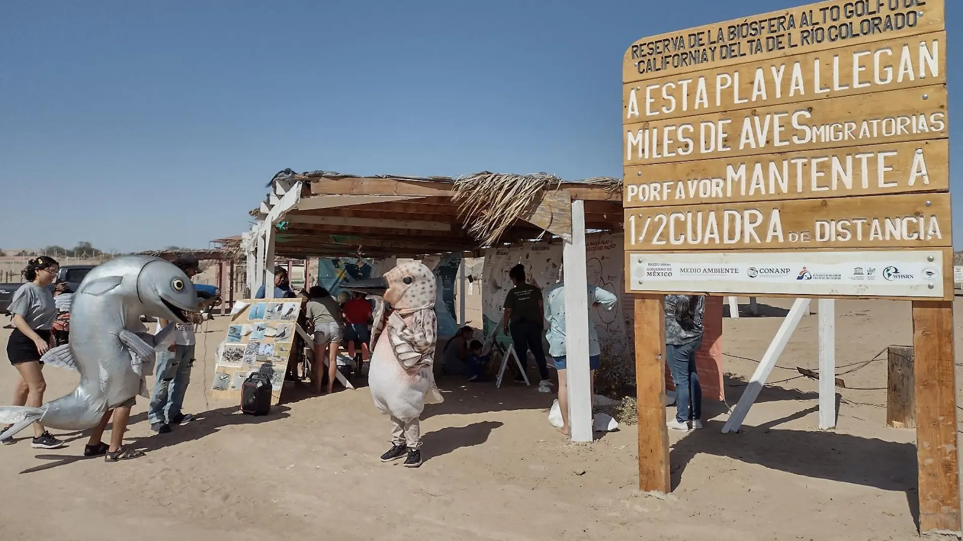 El grupo Cuidando al Playero Rojizo y al Pejerrey instalaron módulos de información sobre estas y otras especies de animales